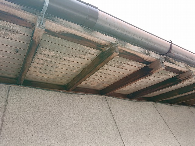 軒先の雨樋